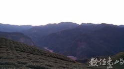 等待只為了那一刻