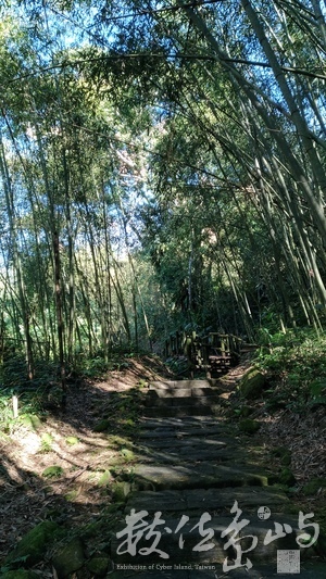 蜿蜒的路要帶我去哪?