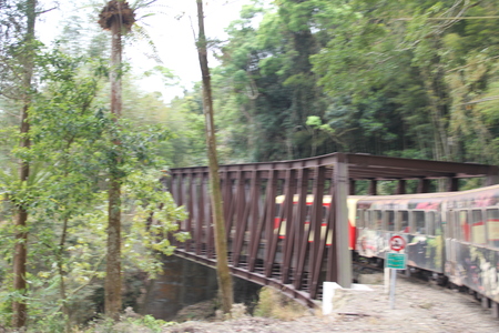 阿里山小火車
