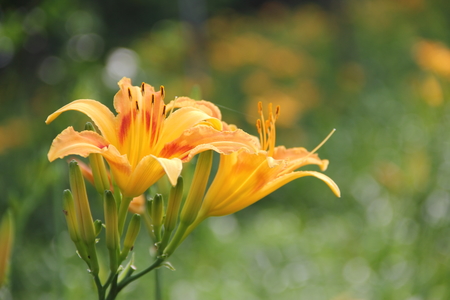 嘉義縣梅山鄉橫山屏休閒園區