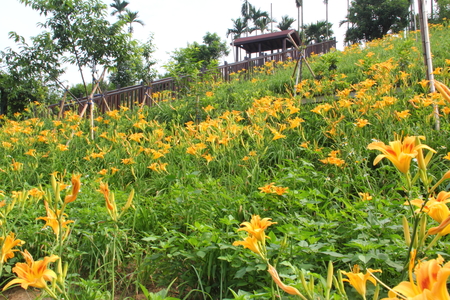 嘉義縣梅山鄉橫山屏休閒園區