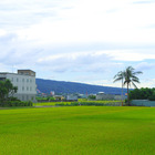 下車拍的風景照