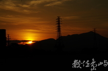 夕陽下剪影