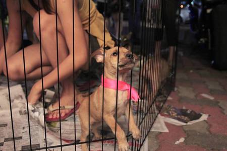 那些想紀錄的大事，小事