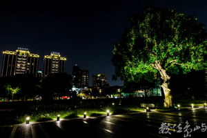 【國立臺灣美術館】