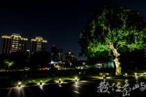 【國立臺灣美術館】