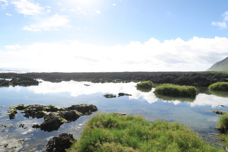《尋野之音》時光荏苒 ‧ 四季遞嬗