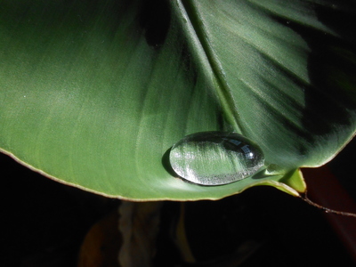 《尋野之音》時光荏苒 ‧ 四季遞嬗