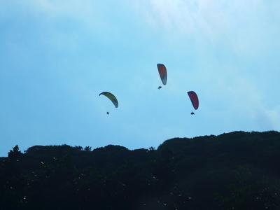 《尋野之音》時光荏苒 ‧ 四季遞嬗