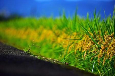 生活風景