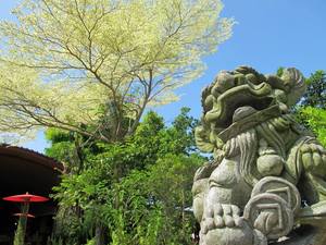 【美濃】【日本】傻傻分不清楚