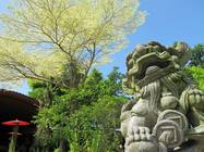 【美濃】【日本】傻傻分不清楚