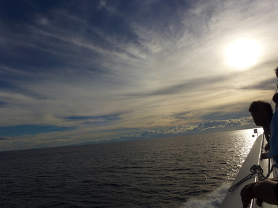 《尋野之音》時光荏苒 ‧ 四季遞嬗