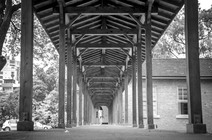 走到盡頭，依然有妳。