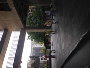 早晨的大學是阿公阿嬤的運動場