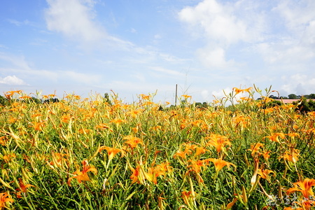 夢想的路上前行