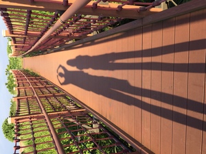 我和女兒的長影