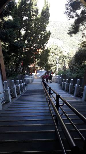 登山步道樓梯