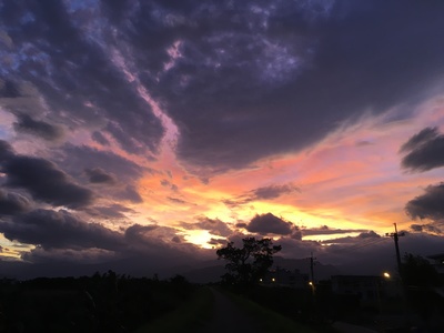 與你散步的那些日子