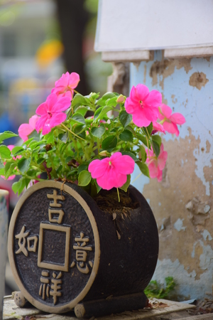 攝影比賽