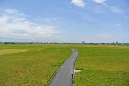 與你散步的那些日子