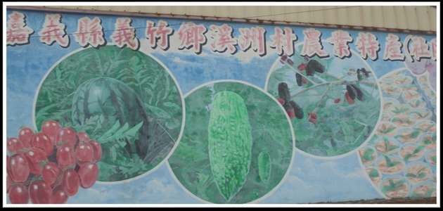 玉米 桑葚 我的家