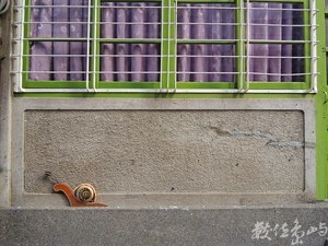 蝸牛慢行