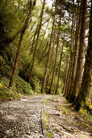 宜蘭 見晴懷古道
