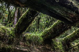 宜蘭 見晴懷古道