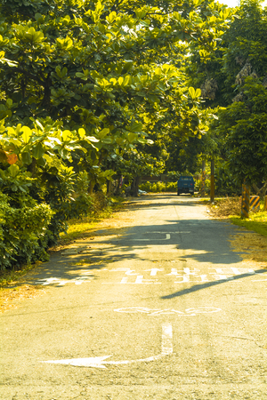 林蔭下的道路.jpg