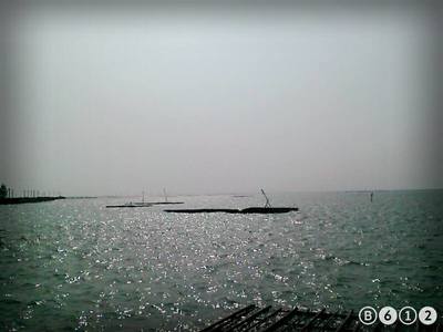 蔡宛妮