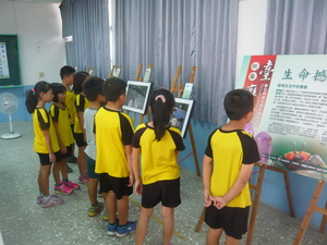 一起觀賞映像台灣系列活動