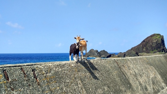 蘭嶼足跡