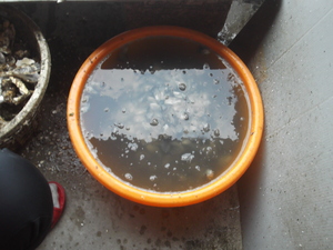 從3點到早上剝的蚵