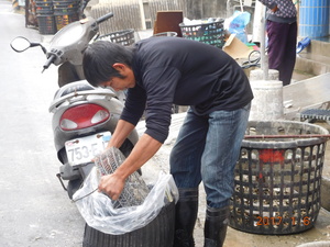 東石國小：五年甲班：黃依琳