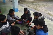 東石國小：六年甲班：黃柏璁