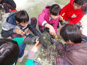 東石國小：六年甲班：柳杰瑞
