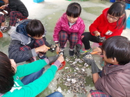 東石國小：六年甲班：吳紋君