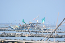 東石國小：六年甲班：柳光耀