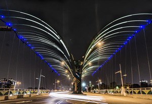 台中 大坑蝴蝶情人橋