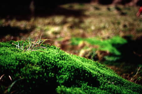 Film Background