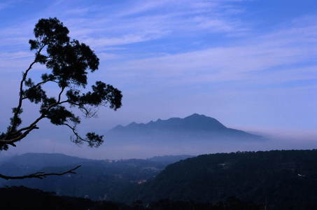 Film Background