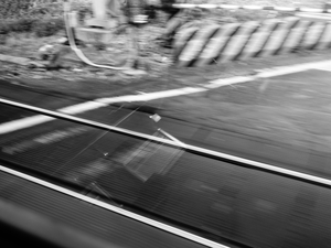 DSC00866 - 複製.JPG