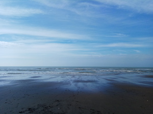 新屋綠色隧道拍攝海岸