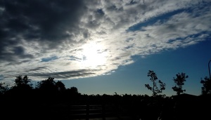 適合冒險的日子