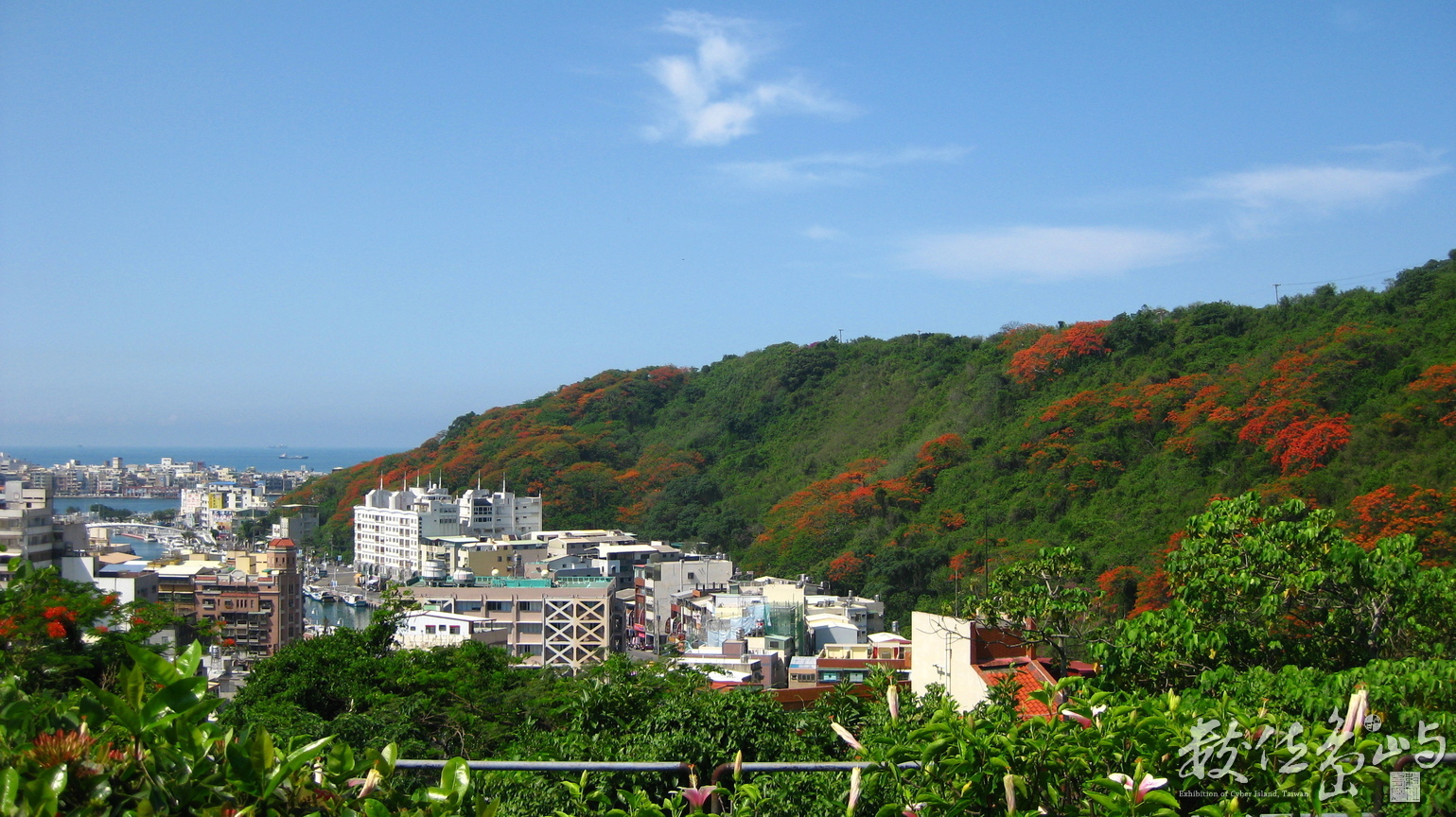 鳳凰花綴綠山頭