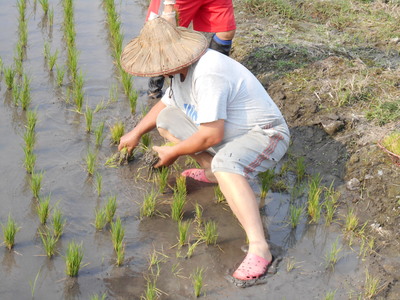 農村與我