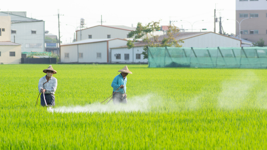 農村生活