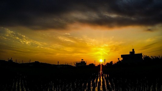 農村與我