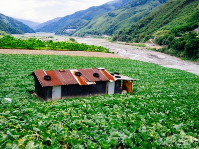 農村與我